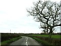 SP6707 : Long Crendon Road to Shabbington by Steve Daniels