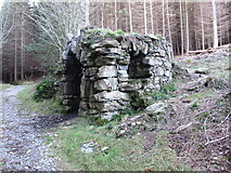 J3729 : The Annesley Family's Picnic Grotto in Donard Wood by Eric Jones