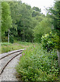 Railway near Leekbrook, Staffordshire