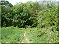 Footpath towards Stone Cross