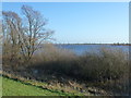 TL5191 : Bushes and flood water - The Ouse Washes near Welney by Richard Humphrey