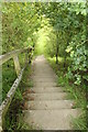 Steps down to cross the Alton Bypass (A31)