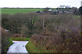 North Devon : Country Lane