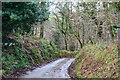 North Devon : Shapcott Wood Hill