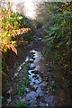 North Devon : Cross Moor Lane