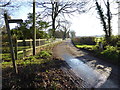 Looking along Naldretts Lane which is a public bridleway