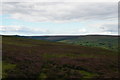 SE6195 : View up Bransdale from north of Lambfold Hill by Christopher Hilton