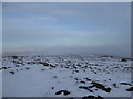 NN6913 : Plateau between Meall Clachach and Am Beannan by Alan O'Dowd