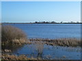 TL5090 : Blue waters - The Ouse Washes near Welney by Richard Humphrey