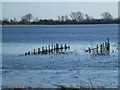 TL5090 : Submerged fencing - The Ouse Washes near Welney by Richard Humphrey