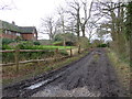 TQ0829 : Marles Lane bridleway approaches bend going west by Shazz