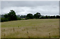 SK0252 : Grass field south-east of Bradnop, Staffordshire by Roger  D Kidd
