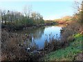 A pond near Walton Park