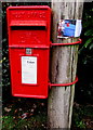 Queen Elizabeth II postbox on a Newent corner