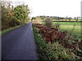 H2355 : Lettermoney Road, Derrynanny by Kenneth  Allen