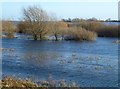TL5090 : The Delph in flood - The Ouse Washes near Welney by Richard Humphrey