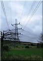 Electricity Pylon at Millbrook