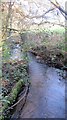 Looking downstream over the Markham Brook