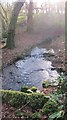 Looking upstream over the Markham Brook