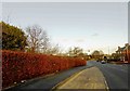 Wood Lane bus stop Stannington