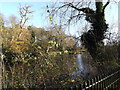 TM1645 : Lake in Christchurch Park by Geographer