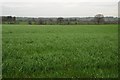 SO6058 : Herefordshire farmland by Philip Halling