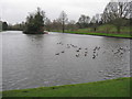 Boating lake, Warminster