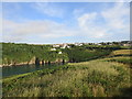 View across Solva Harbour to Upper Solva