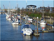 TF4609 : The Yacht Harbour on The River Nene, Wisbech by Richard Humphrey