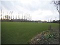 William Perkin School playing field by Community Road, Greenford