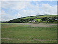 Dunes and slacks in the Teifi estuary