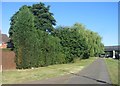 Cycle path by Hawley Lane