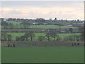 Shooting party in fields at Houghwood, Billinge