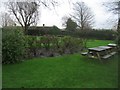 Pub garden - The Three Horseshoes