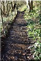 Wet path near Cote Ghyll