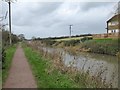 Power cables crossing the canal, Creech St Michael