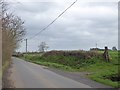 Deep ditch beside White Street, Ham