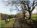 Llwybr Caniataol Parc Slebech Park Permissive Path