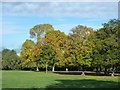 Signs of autumn, Woodcock Park