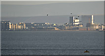 NT2577 : Leith from Inverkeithing by Thomas Nugent
