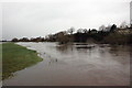 SJ4154 : The River Dee in flood at Holt by Jeff Buck