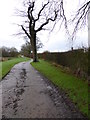 The Sussex Border Path going east from Bury St Austen