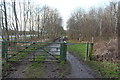 Road to the Visitor Centre, Eglinton Country Park