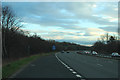 The A78 to Ayr