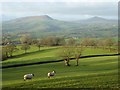 Ysgyryd Fawr (Skirrid) and Sugar Loaf