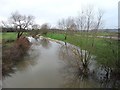 The River Idle from Mattersey Bridge