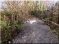 Vigorous Malpas Brook, Bettws, Newport