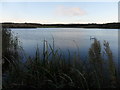 Queen Elizabeth II Country Park