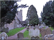 TQ2122 : St Peter's Church, Cowfold: churchyard (3) by Basher Eyre
