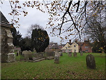 TQ2122 : St Peter's Church, Cowfold: churchyard (7) by Basher Eyre